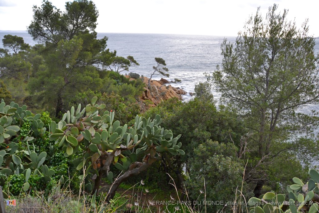 Pointe du Layet Le Lavandou 8.JPG - Pointe du Layet.  Le 05 décembre sous la pluie.